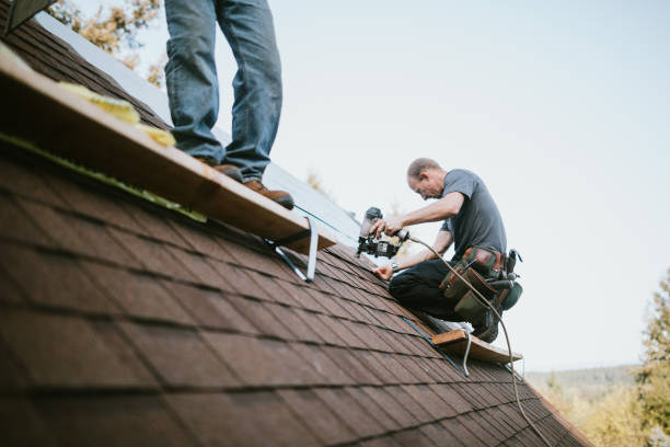 Best Roof Leak Repair  in Virginia, MN